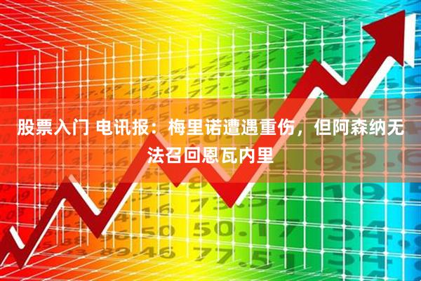 股票入门 电讯报：梅里诺遭遇重伤，但阿森纳无法召回恩瓦内里